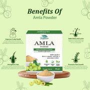 Amla Powder – Pure Ayurved Herbal Powder for Hair Growth, Shine & Immunity