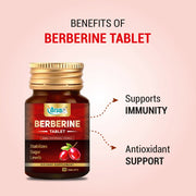 Swadeshi Ayurved Berberine Tablets – 30 Tablets