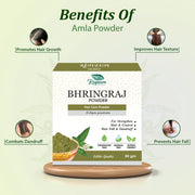 Swadehi Ayurved Bhringraj Powder 100 gm