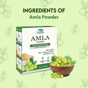 Amla Powder – Pure Ayurved Herbal Powder for Hair Growth, Shine & Immunity