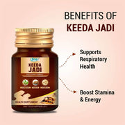 Swadeshi Ayurved Keeda Jadi High Potency Formula – 30 Capsules