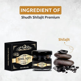 Swadeshi Haridwar Ayurved Shudh Shilajit Premium Himalayan Organic Trace 20 gm